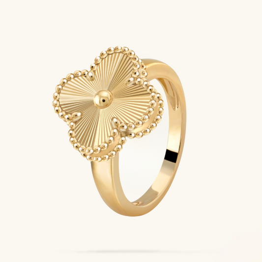 CLOVER | Gullring